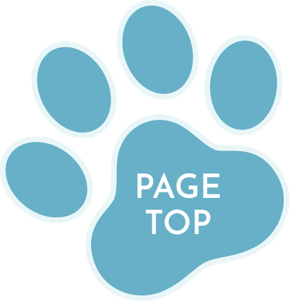 pagetop-icon